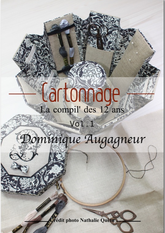 Cartonnage — La compil' des 12 ans, Vol. 1