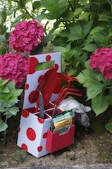 Kit jardin ou kit cuisine