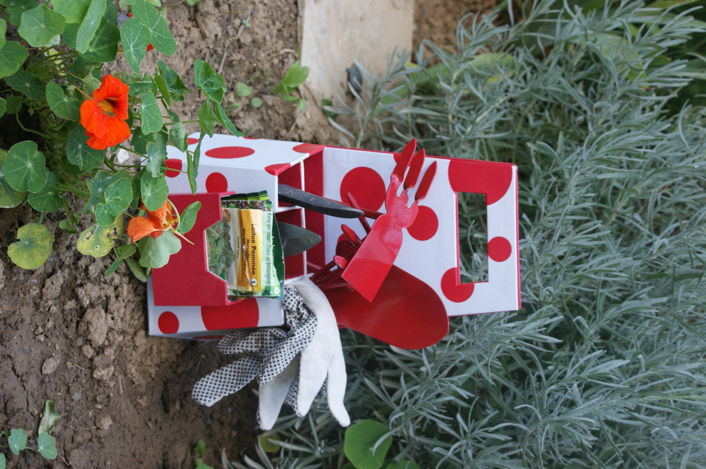 Garden Kit or Kitchen Kit